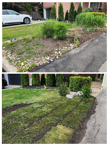 Photo from customer review