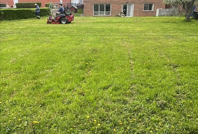 Grass cutting commercial