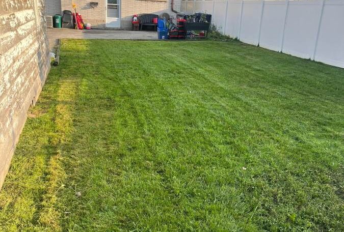 Our Lawn Cutting Service