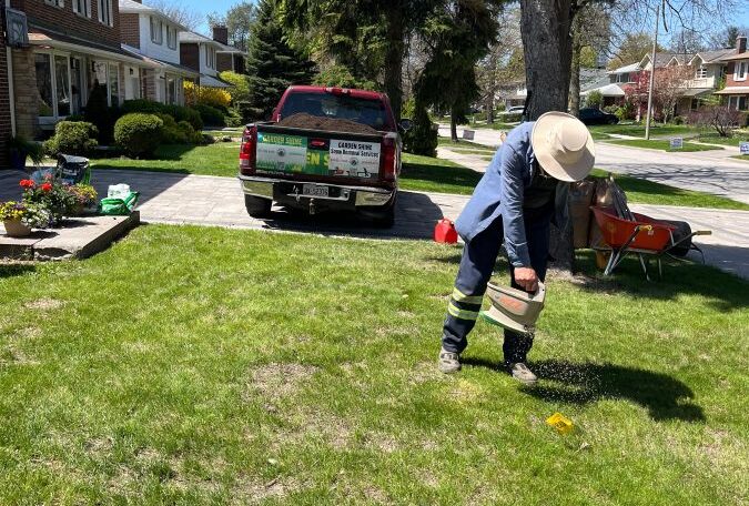 Grass overseeding