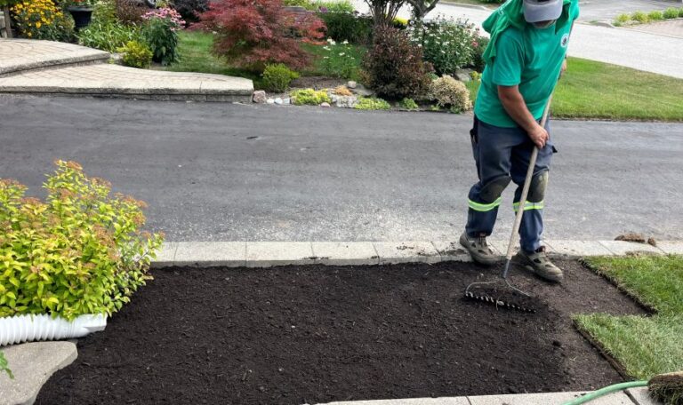 Grass sod idk getting ready