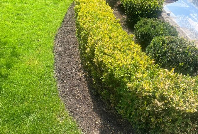 Hedge trimming