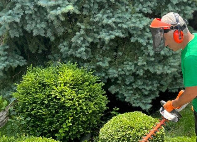 Hedge trimming