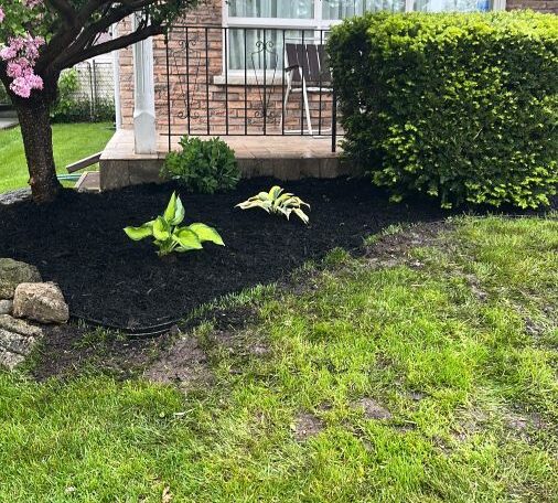 Mulch & design front garden