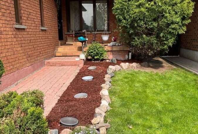 Mulching& design front garden