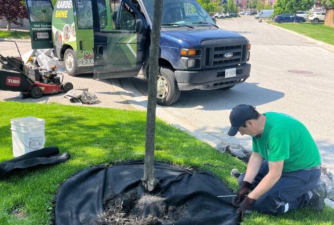 Mulching w gardenshine