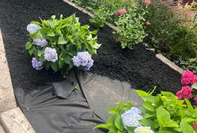 Mulching work in progress