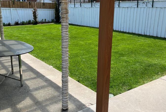 Sod grass back garden