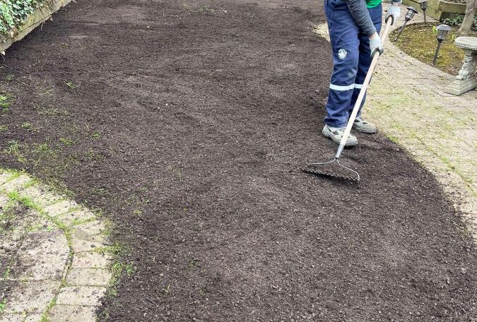Sod grass first stage