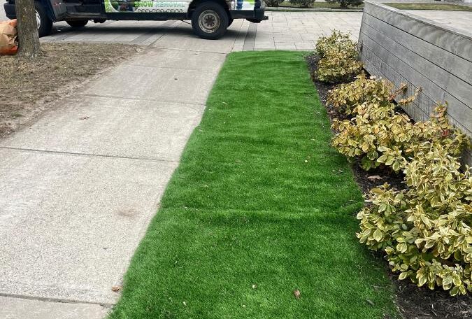 Sod grass gardenshine