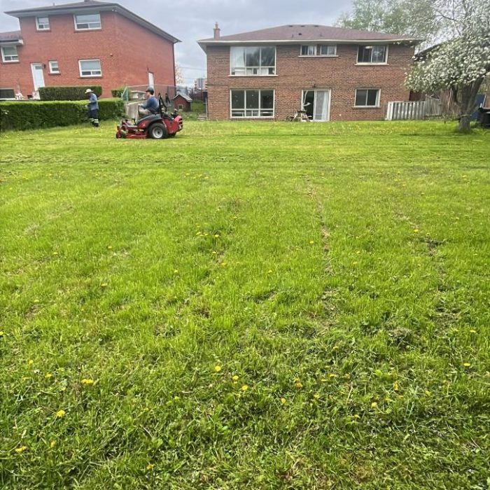 Grass cutting commercial